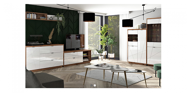 Svetainės komplektas FORN