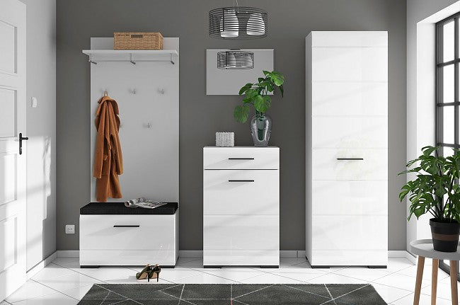 Prieškambaris FEVER