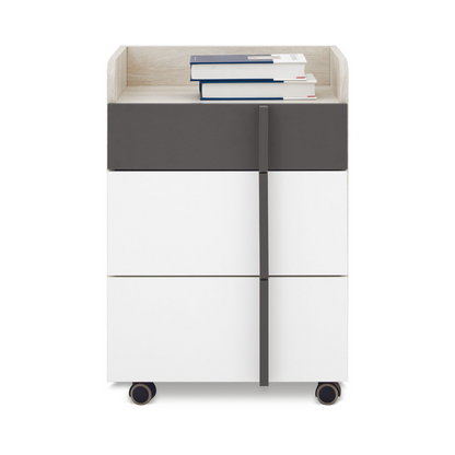 Spintelė REMO RM-11 su ratukais