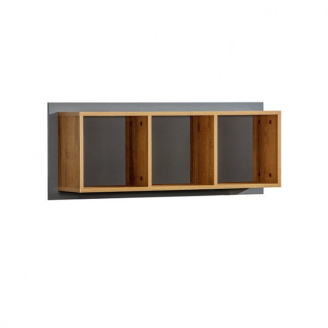 Pakabinama lentyna WERSO W12