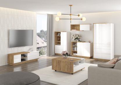 Svetainės baldų kolekcija HYBRID