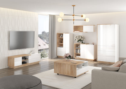 Svetainės baldų kolekcija HYBRID