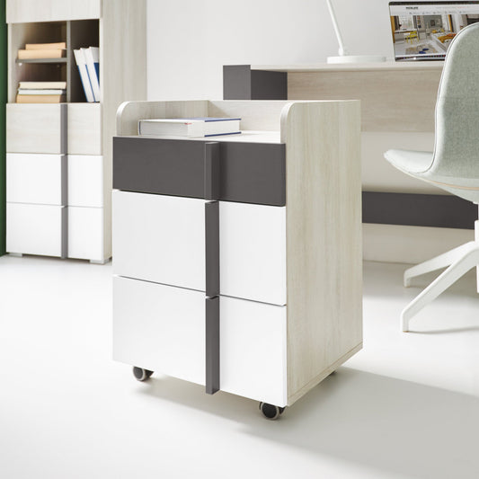 Spintelė REMO RM-11 su ratukais